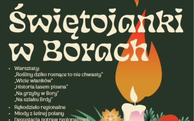 Świętojanki w Borach